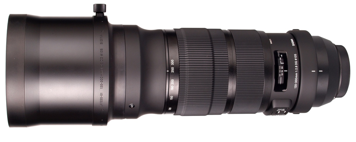 Sigma 120-300 Sport. Sigma 120-300mm f2.8 Canon. Sigma apo Nikon 2.8 300. Объектив Sigma af 300mm f/2.8 ex apo HSM Sigma sa.